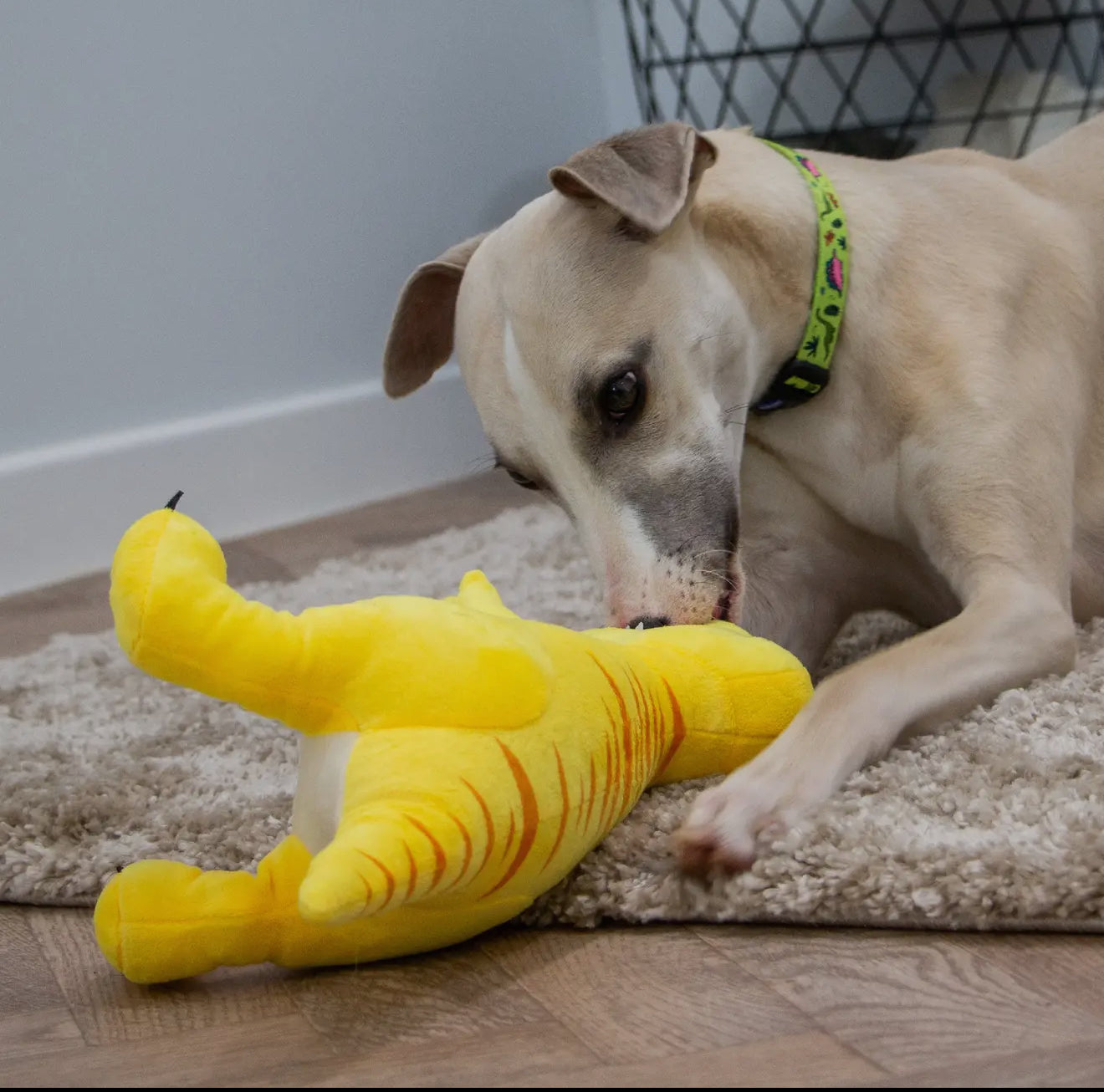 Cuddle Roarsome Dino Plush Dog Toys – Soft Dinosaur Toys for Gentle Play