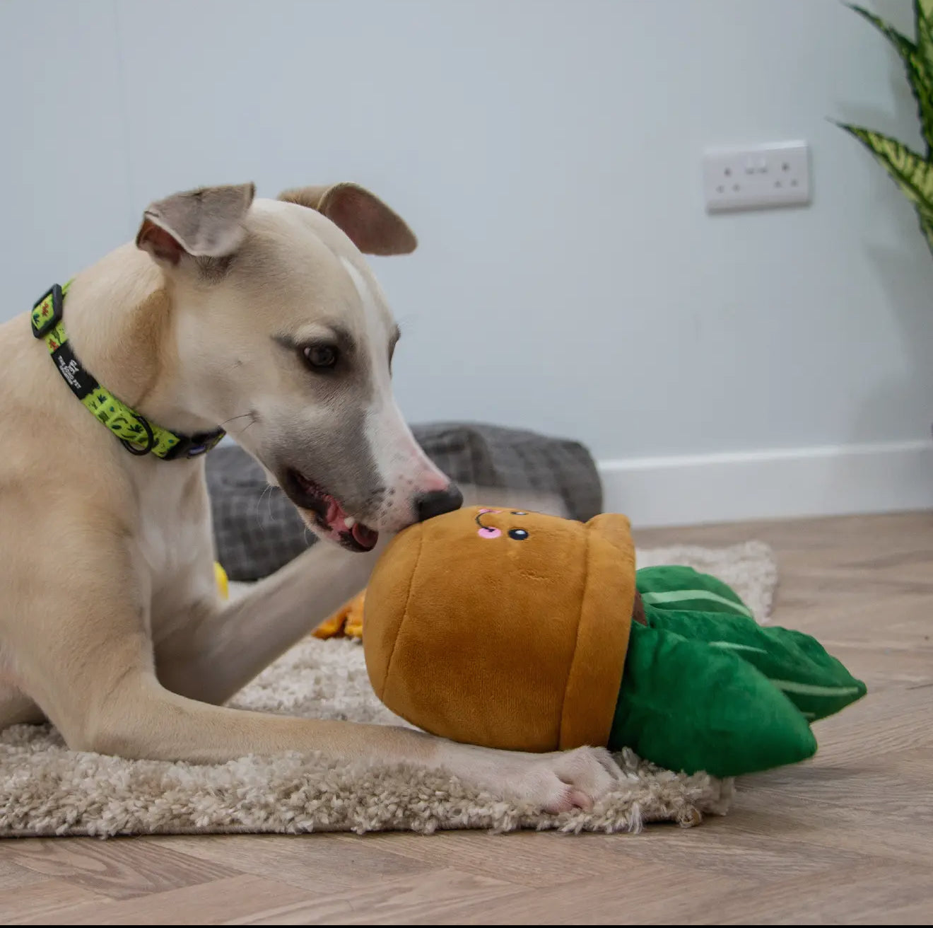 Cuddle Cactus Plush Dog Toys – Soft, Squeaky & Eco-Friendly