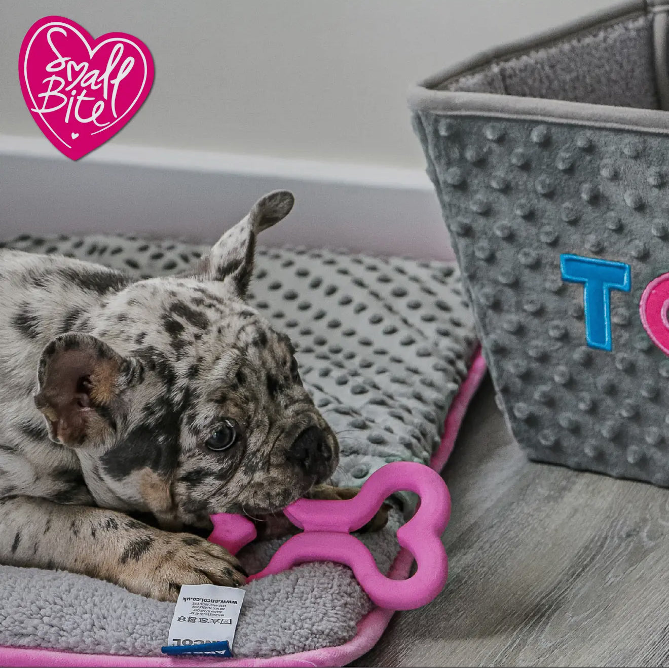 Small Bite Soft Bone – Chew Toy for Puppies & Small Dogs
