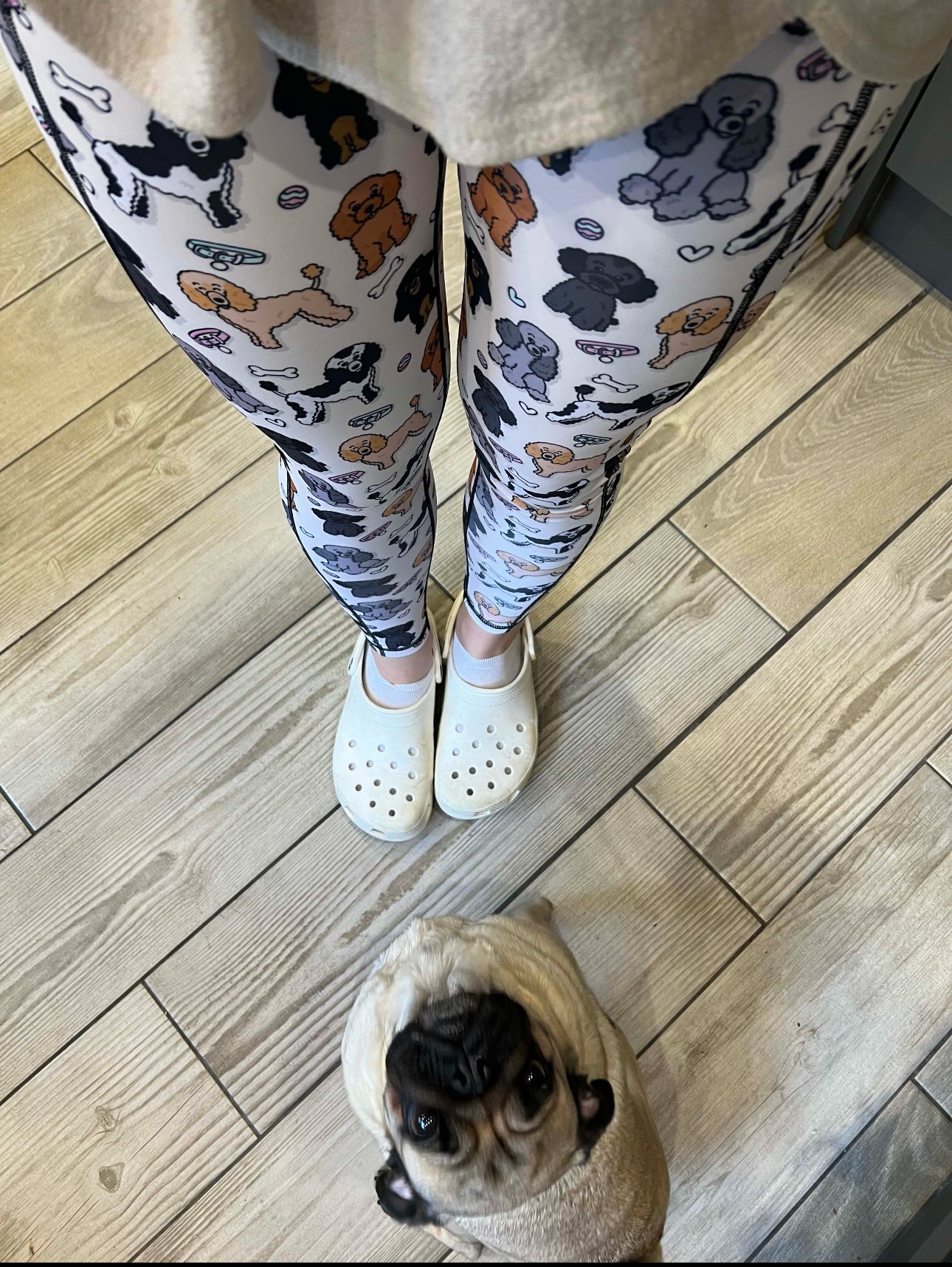 Oodles of Poodles matching leggings - poodle leggings