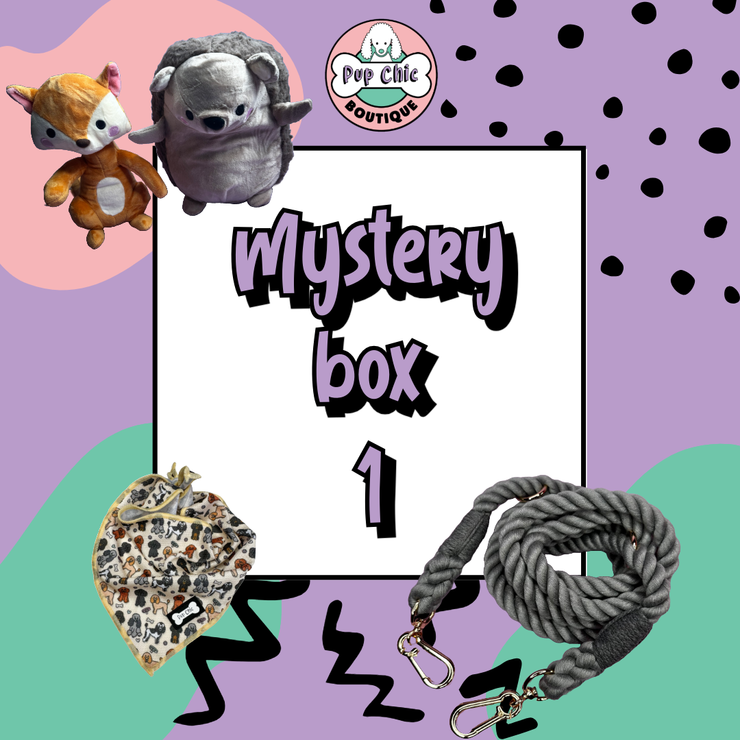 Mystery Dog Accessory Bundle Box