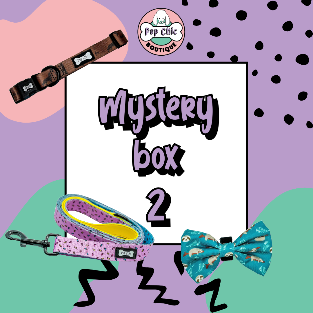 Mystery Dog Accessory Bundle Box