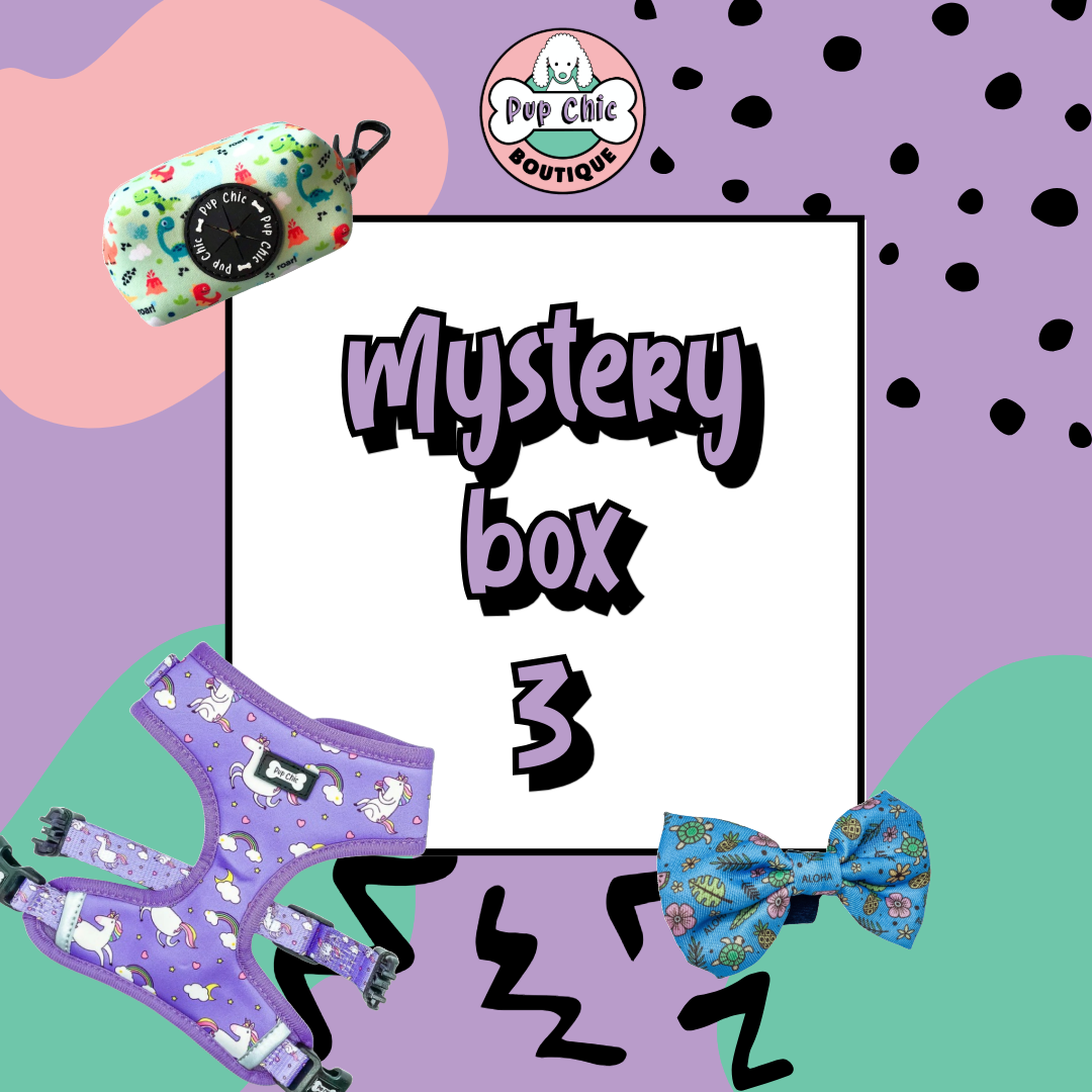 Mystery Dog Accessory Bundle Box