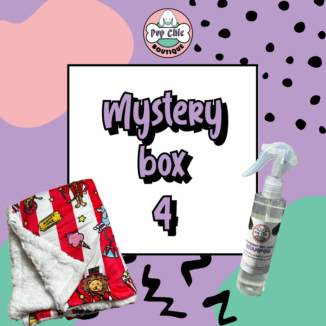 Mystery Dog Accessory Bundle Box