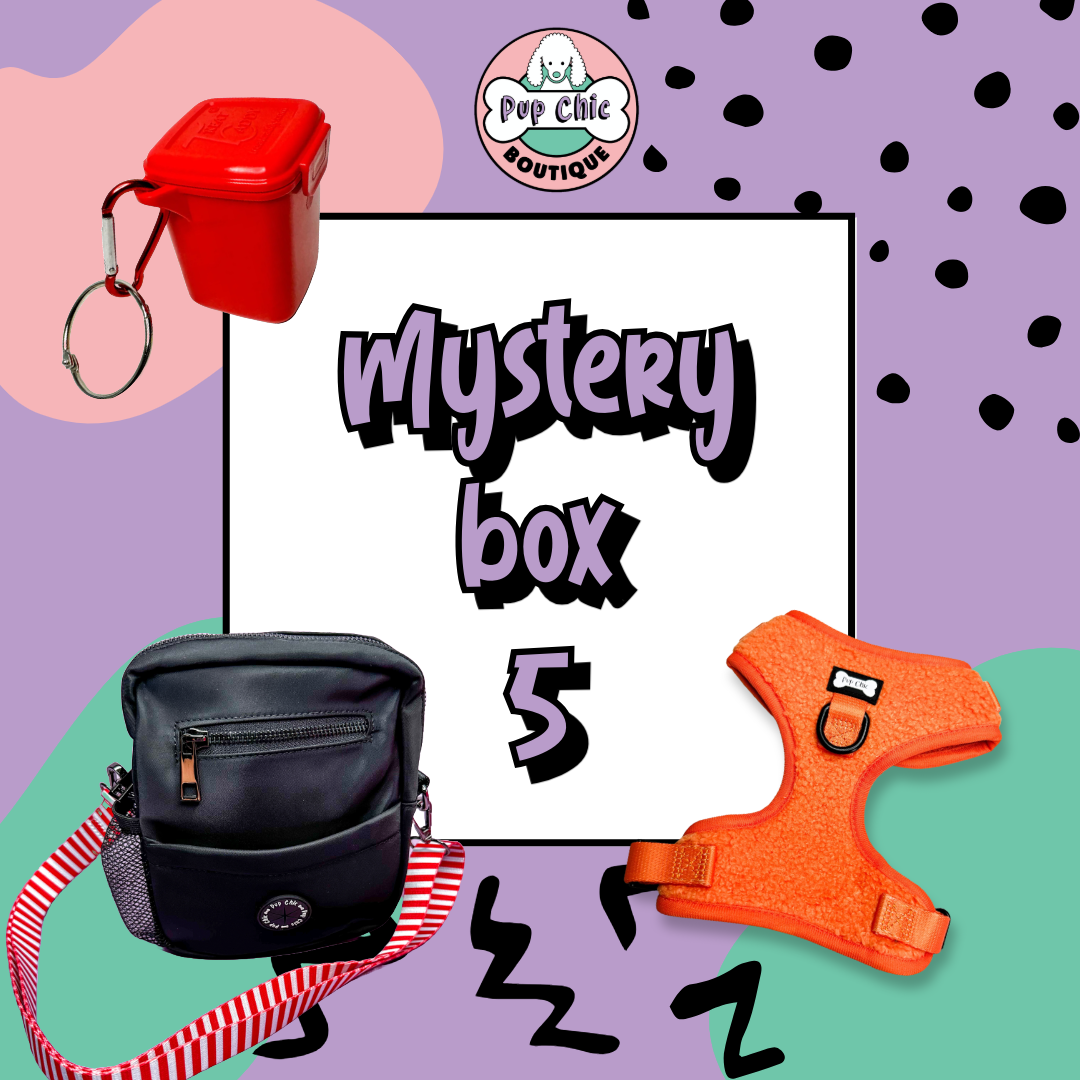 Mystery Dog Accessory Bundle Box