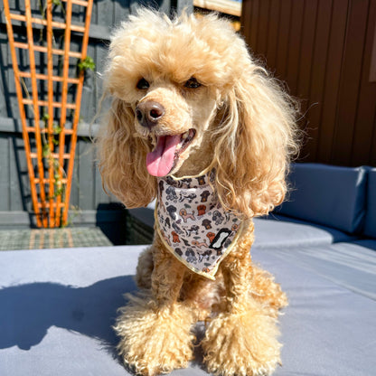 Oodles of Poodles Cooling Bandana - Pup Chic Boutique