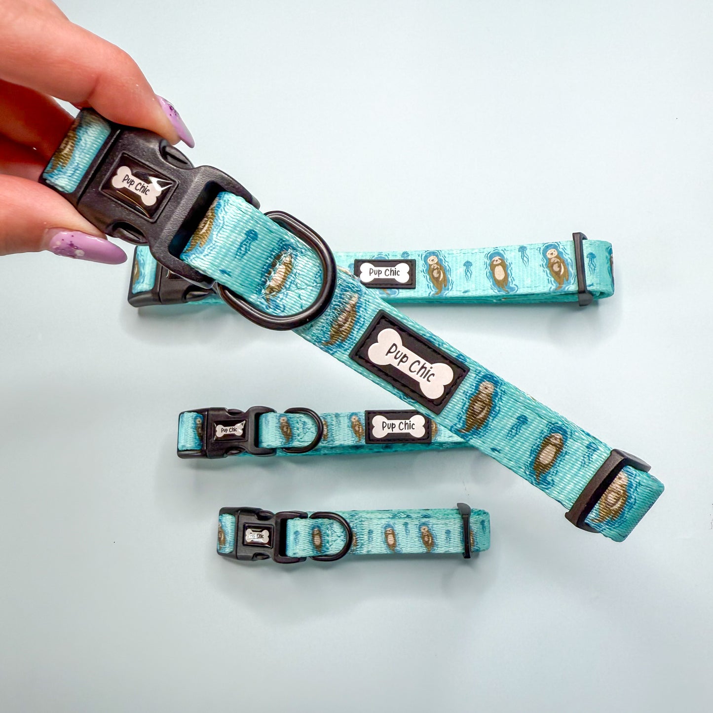 Otterly Lovely Dog Collar 🦦💙