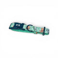 Panda Paradise Dog Collar