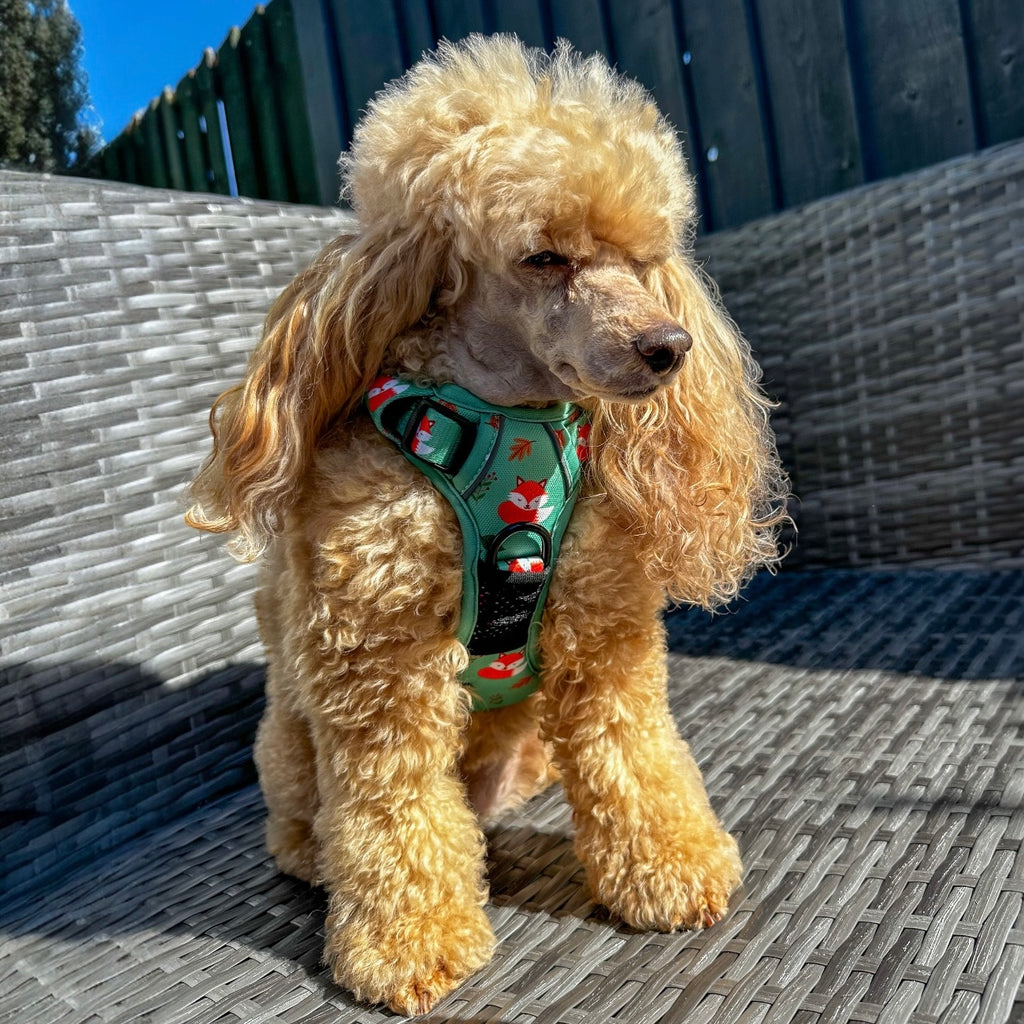 Inquisitive Fox Tuff Stuff dog harness - longer body no pull harness with handle - Pup Chic Boutique