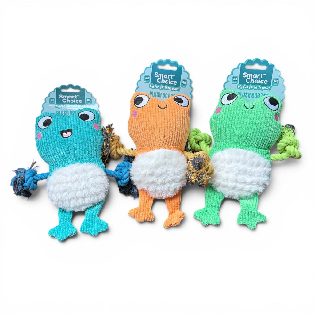 Smart Choice Frog Plush Dog Toy