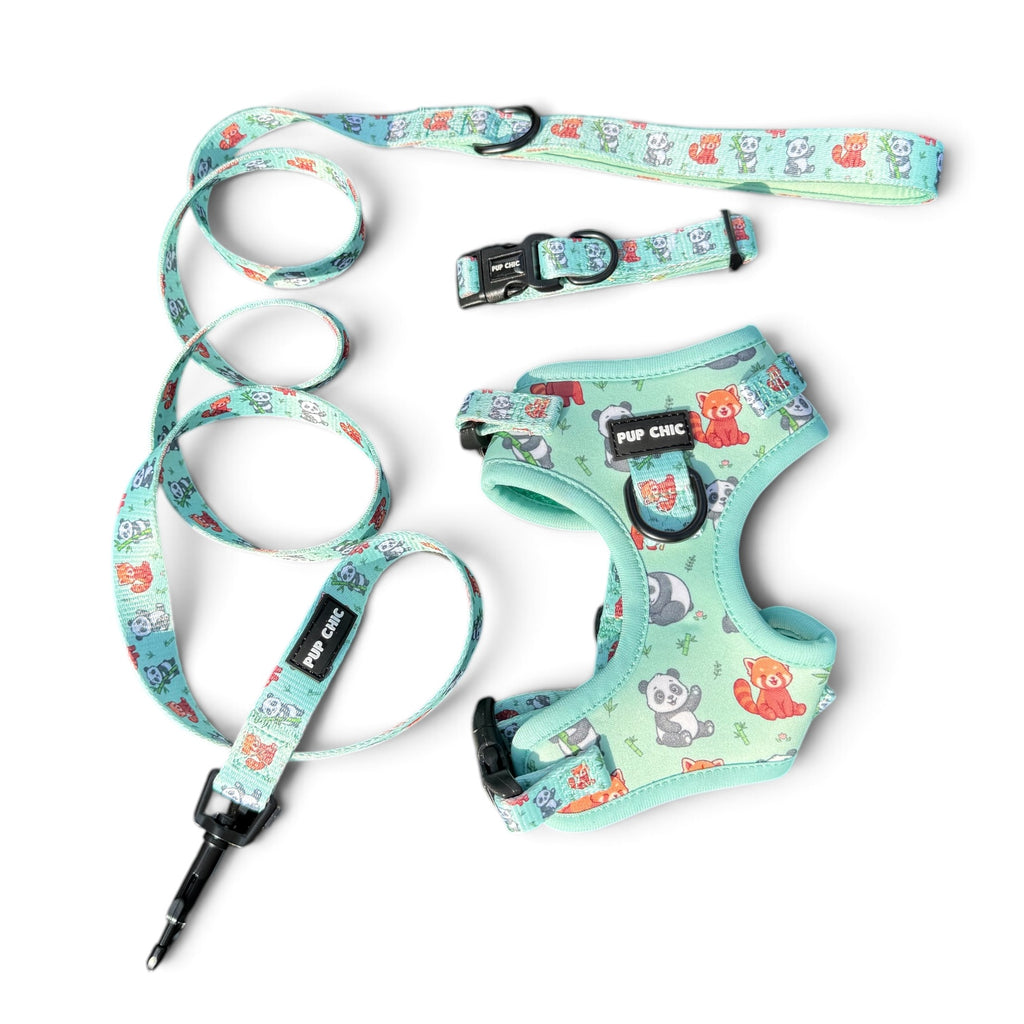 Panda Paradise Step-in Adjustable harness bundle