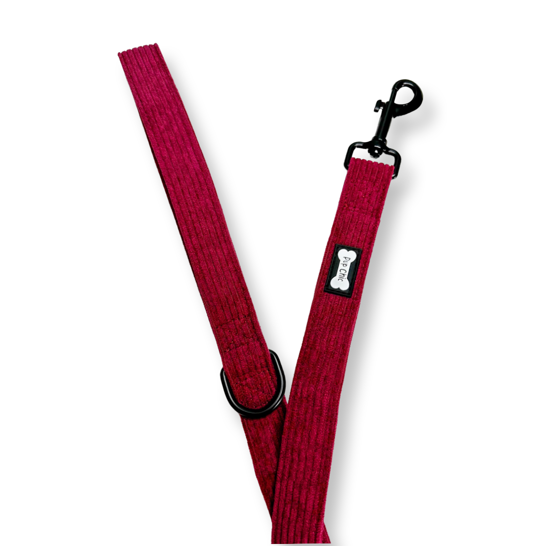 Plumcious corduroy lead - dog leash