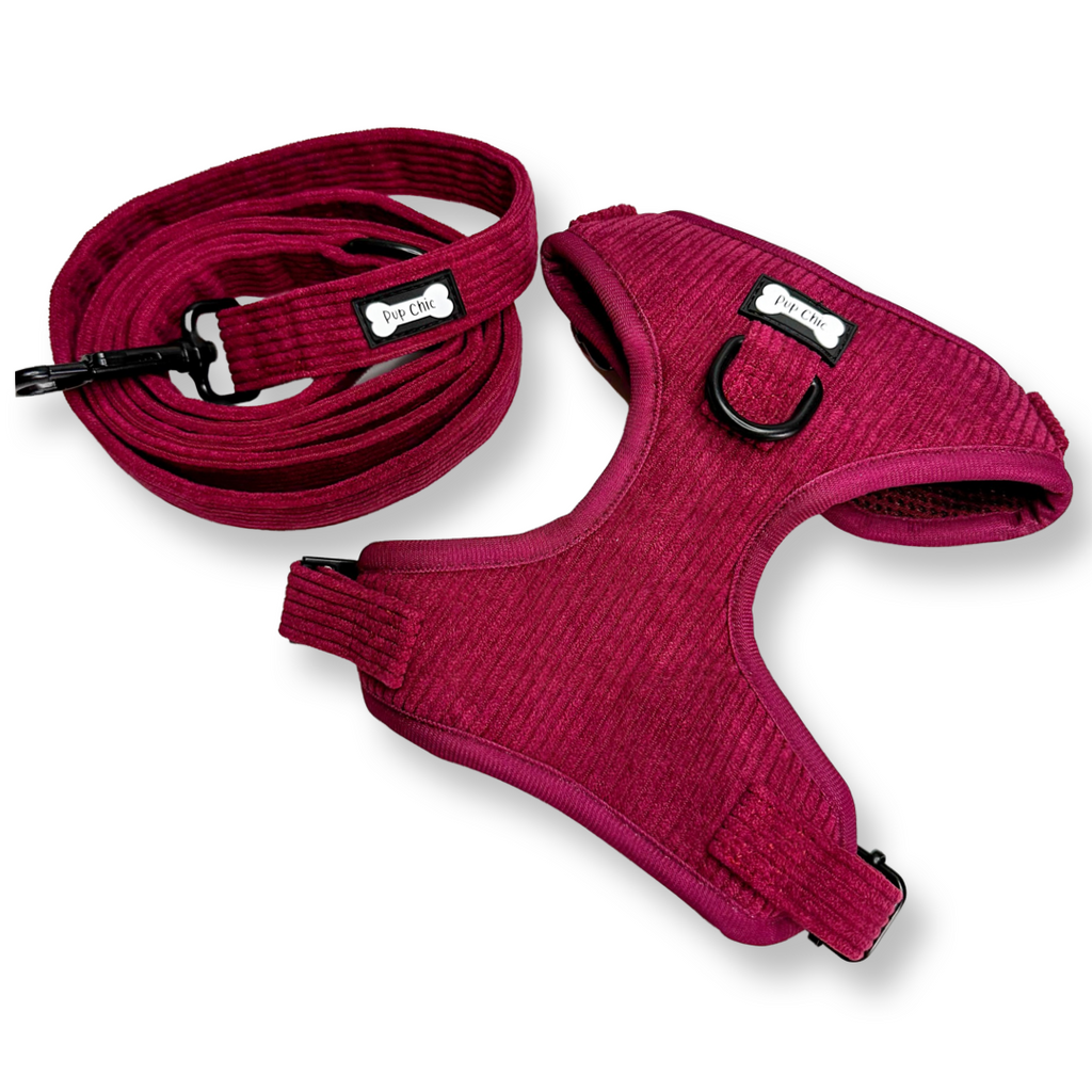 Plumcious corduroy dog harness - adjustable dog harness - Pup Chic Boutique