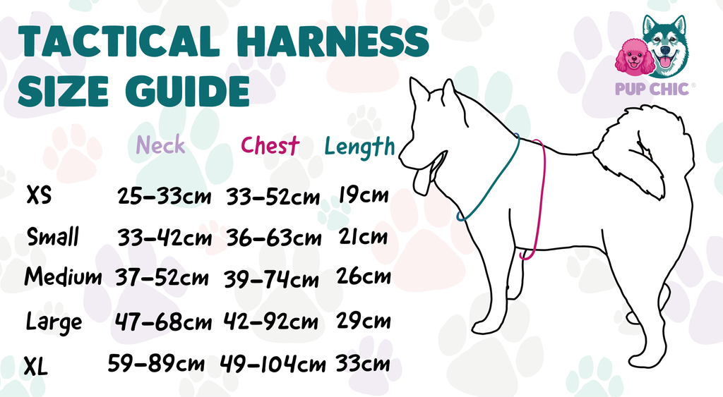 Panda Paradise Tactical harness, standard collar & lead bundle