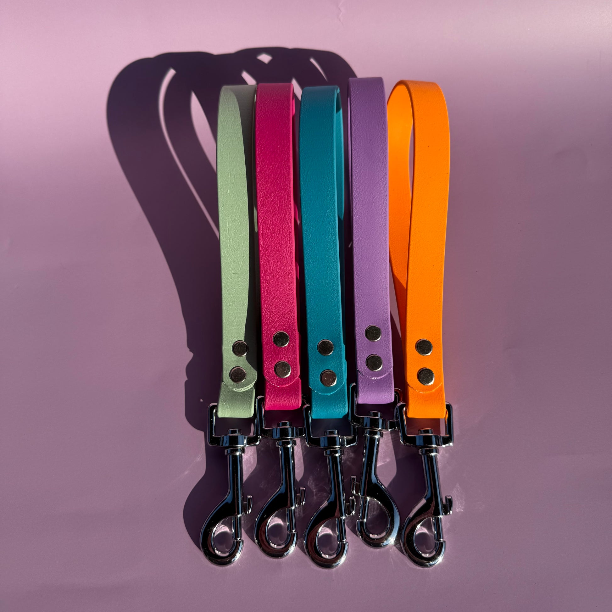 Colour short dog leads