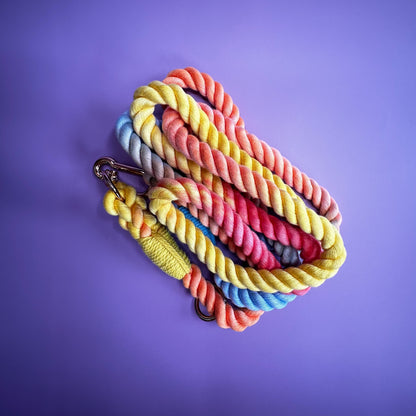Rainbow Multi-use 7ft Rope Dog Lead - hands free leash - training lead - Pup Chic Boutique
