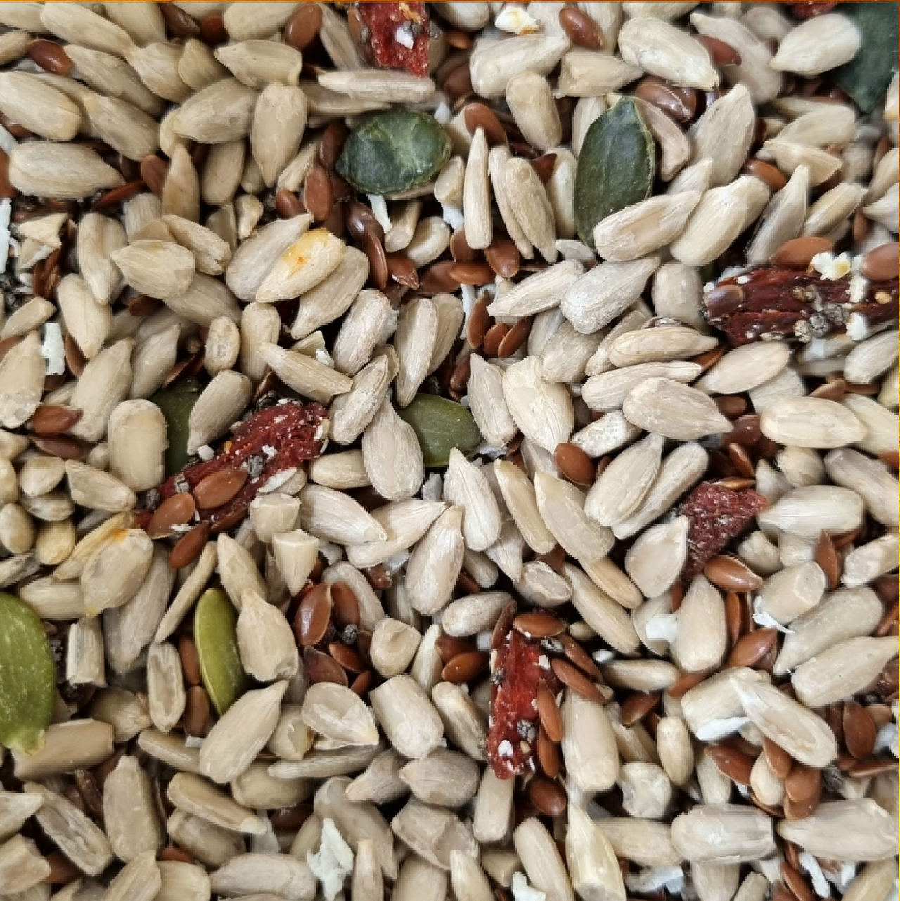 Raw Meal Topper – Gut-Boosting Superfood Blend for Dogs