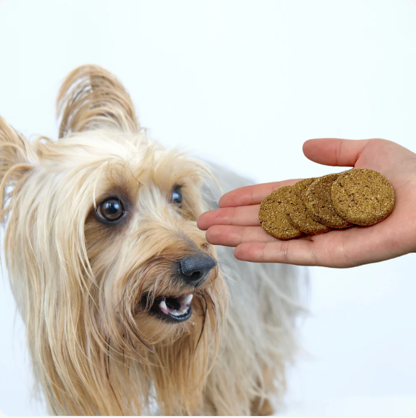 Christmas 3 Bird Roast Cookies - dog treats