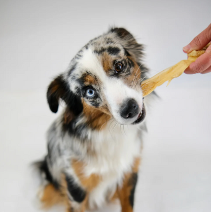 Beef skin chews - natural dog chew