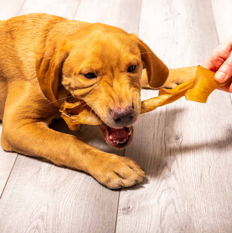 Beef skin chews pieces - Pup Chic Boutique