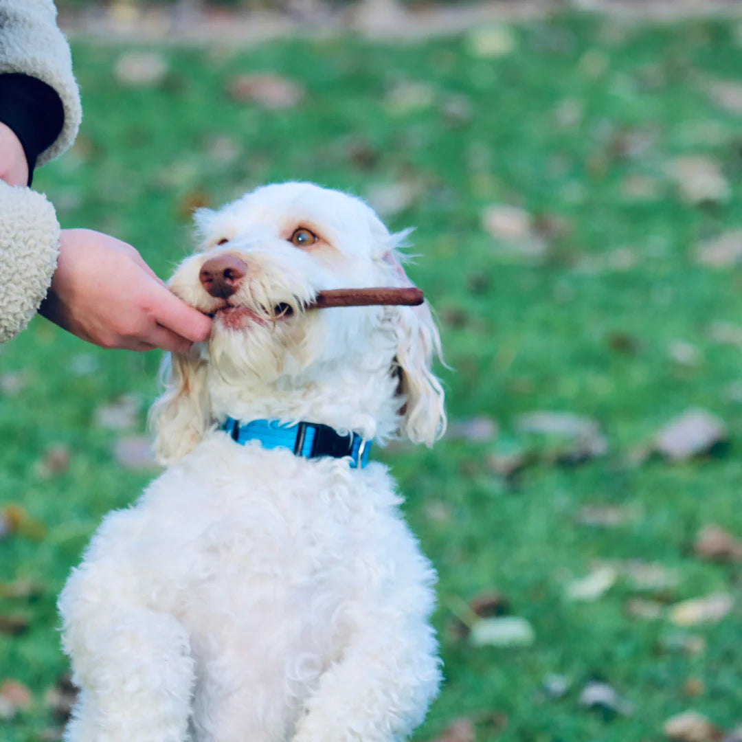 Gourmet Pure Sticks - 100% Meat - multiple flavours - Pup Chic Boutique