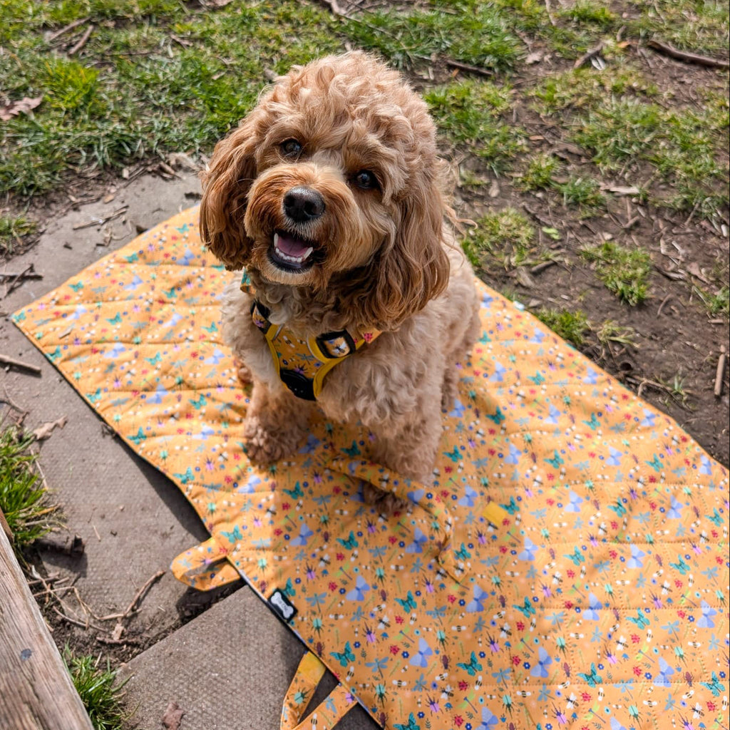 Dog settle mat - summer buzzin'