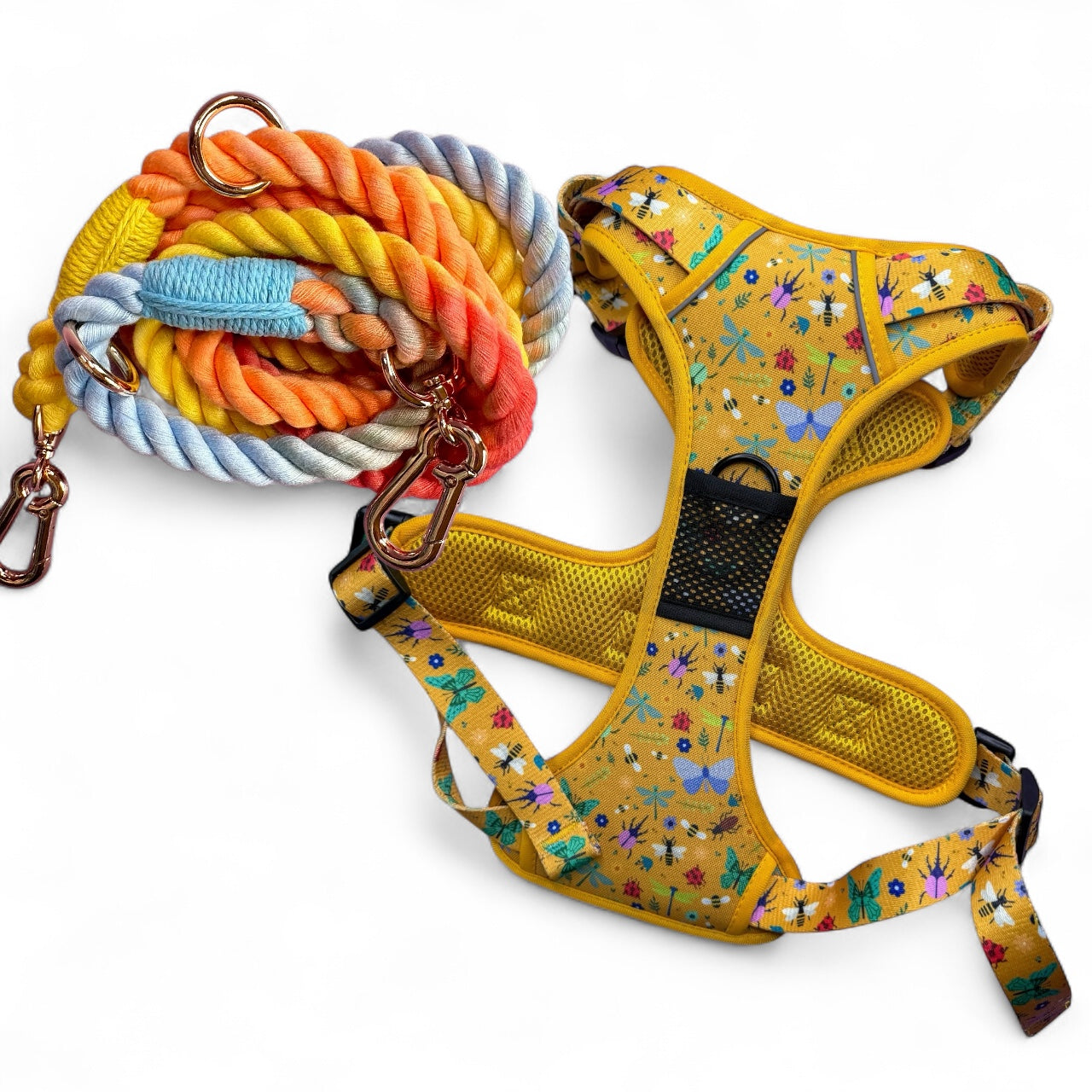 Summer Buzzin’ Harness & Rainbow Rope Lead Bundle