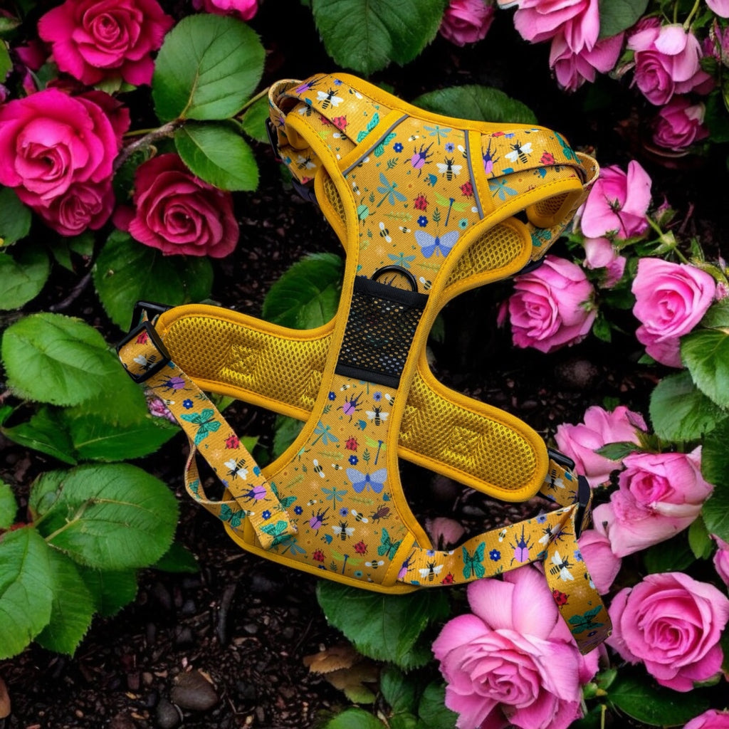 Summer Buzzin’ Harness & Rainbow Rope Lead Bundle