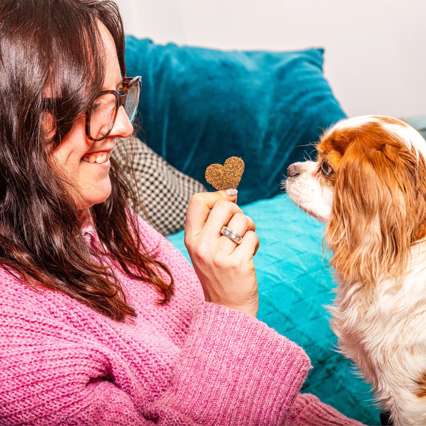 Gourmet Love Bites - Valentines dog treats