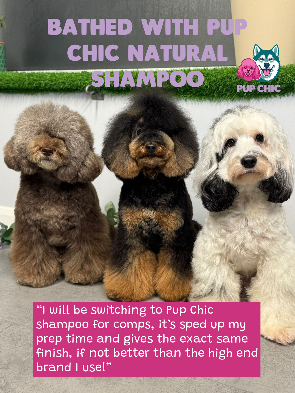 Natural Shampoo Wholesale 5L groomer edition
