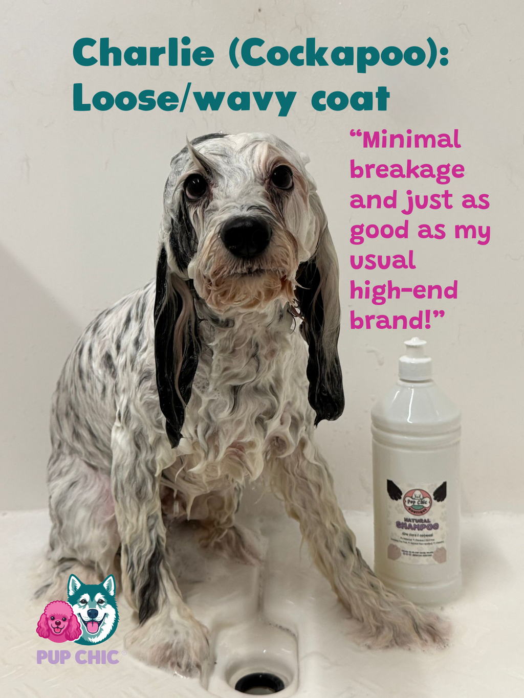 Natural Shampoo Wholesale 5L groomer edition