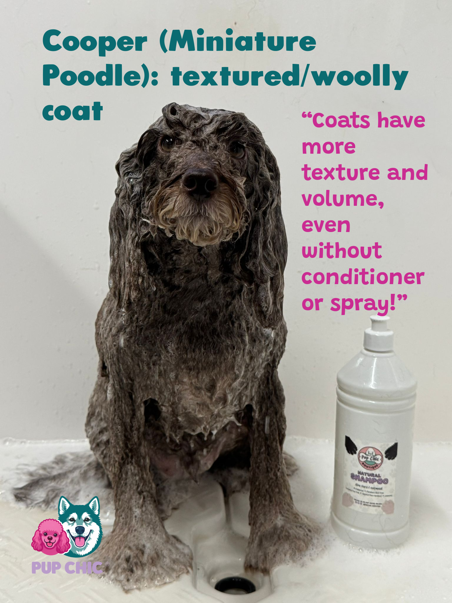 Natural Shampoo Wholesale 5L groomer edition