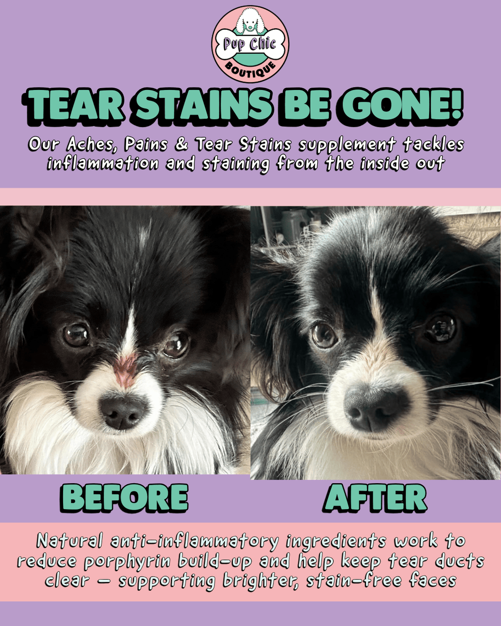 Aches, Pains & Tear Stains Dog Supplement – Natural Relief for Joints & Eyes - Pup Chic Boutique