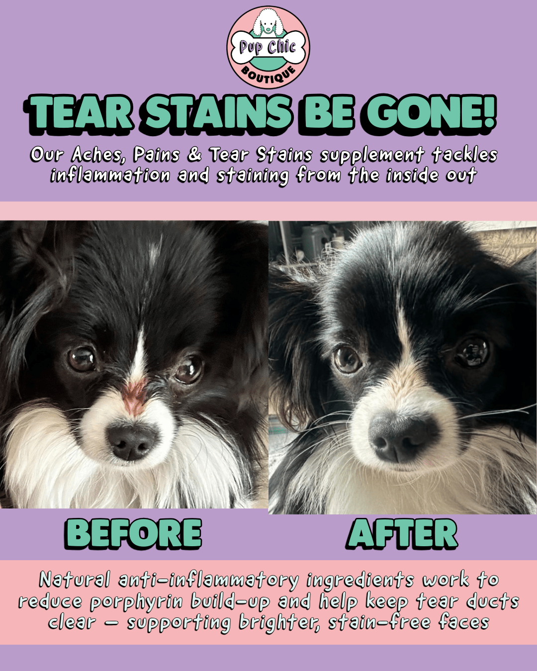 Aches, Pains & Tear Stains Dog Supplement – Natural Relief for Joints & Eyes - Pup Chic Boutique