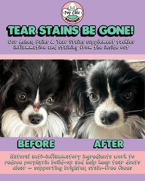 Aches, Pains & Tear Stains Dog Supplement – Natural Relief for Joints & Eyes - Pup Chic Boutique