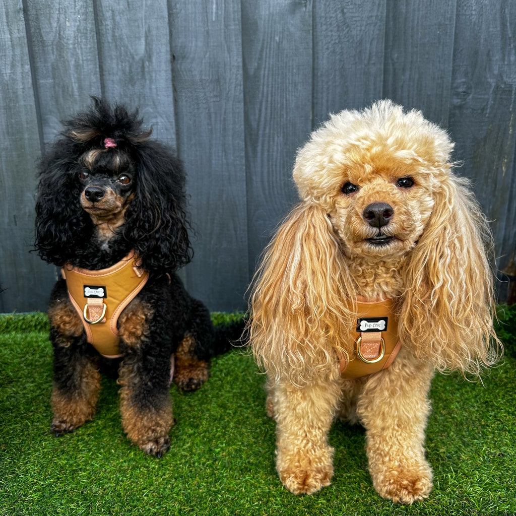 Alfresco Pup faux leather dog harness - camel colour adjustable dog harness - Pup Chic Boutique