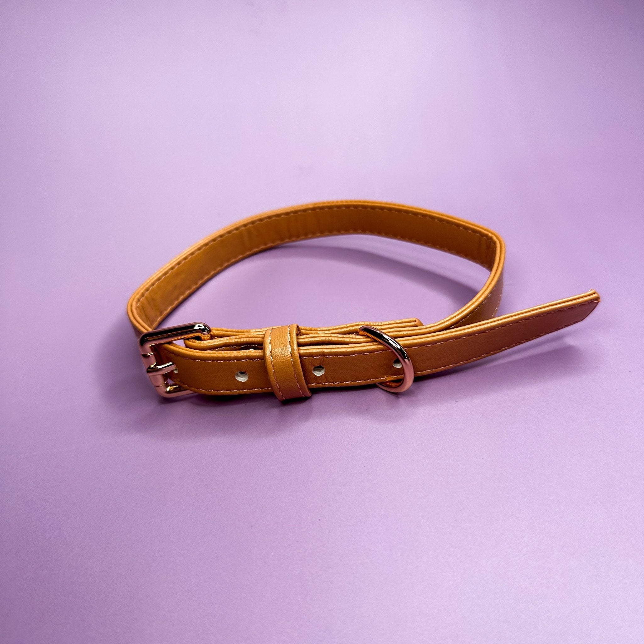 Alfresco Pup vegan leather dog collar - camel colour buckle dog collar - Pup Chic Boutique