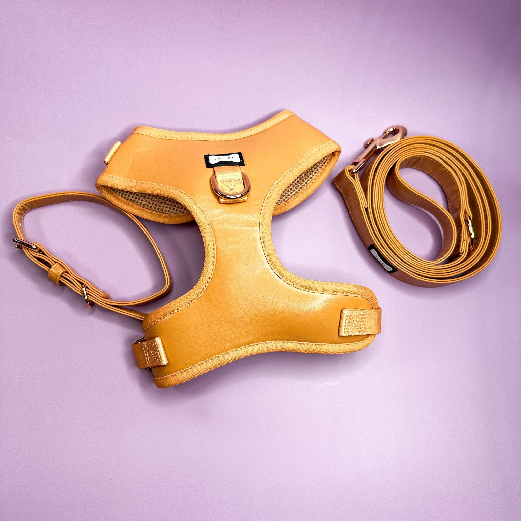 Alfresco Pup vegan leather dog collar - camel colour buckle dog collar - Pup Chic Boutique