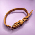 Alfresco Pup vegan leather dog collar - camel colour buckle dog collar - Pup Chic Boutique