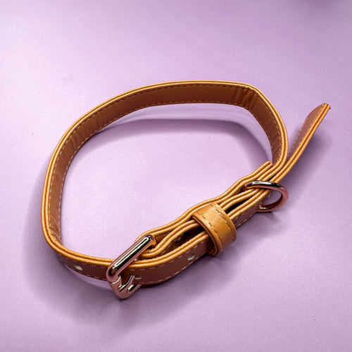 Alfresco Pup vegan leather dog collar - camel colour buckle dog collar - Pup Chic Boutique