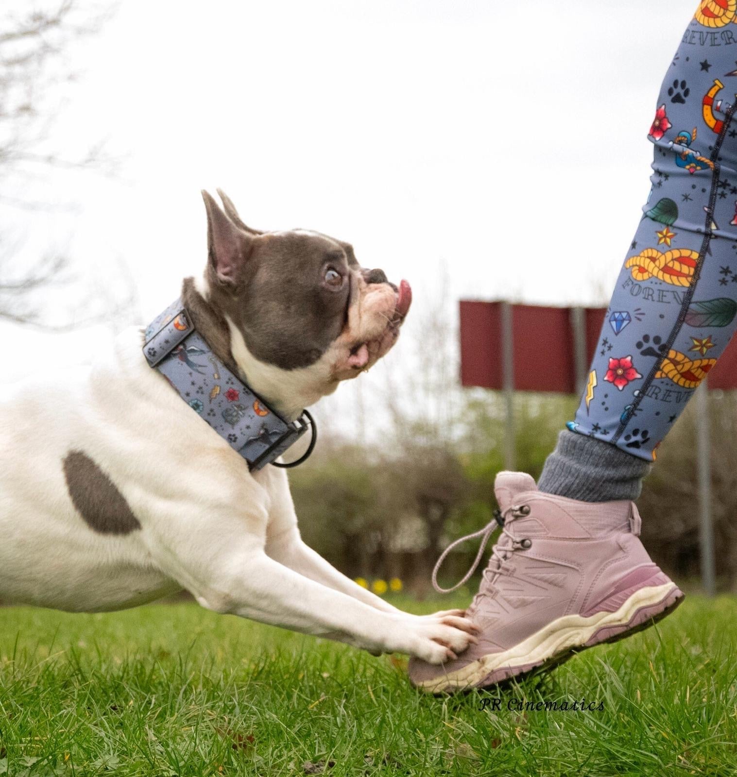 Artful Dogster Tactical Dog Collar with Handle - Pup Chic Boutique