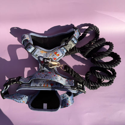 black rope lead clipped to front and back of a dog harness to reduce pulling
