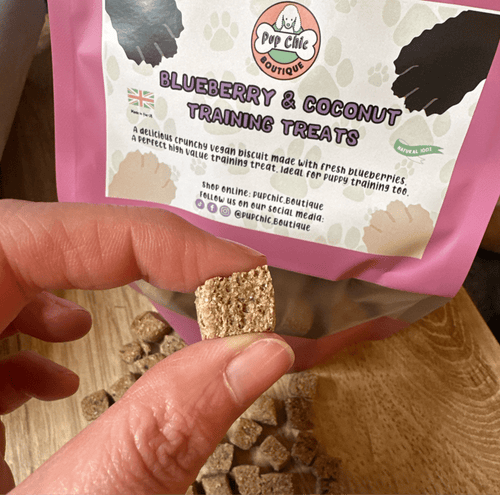 Blueberry & Coconut Training Dog Treats - Pup Chic Boutique
