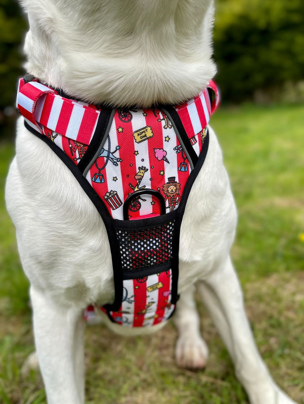 Circus Chic No Pull Tactical Dog Harness – Adjustable; Strong for Big Dogs (L & XL) 🎪🐾 I - Pup Chic Boutique