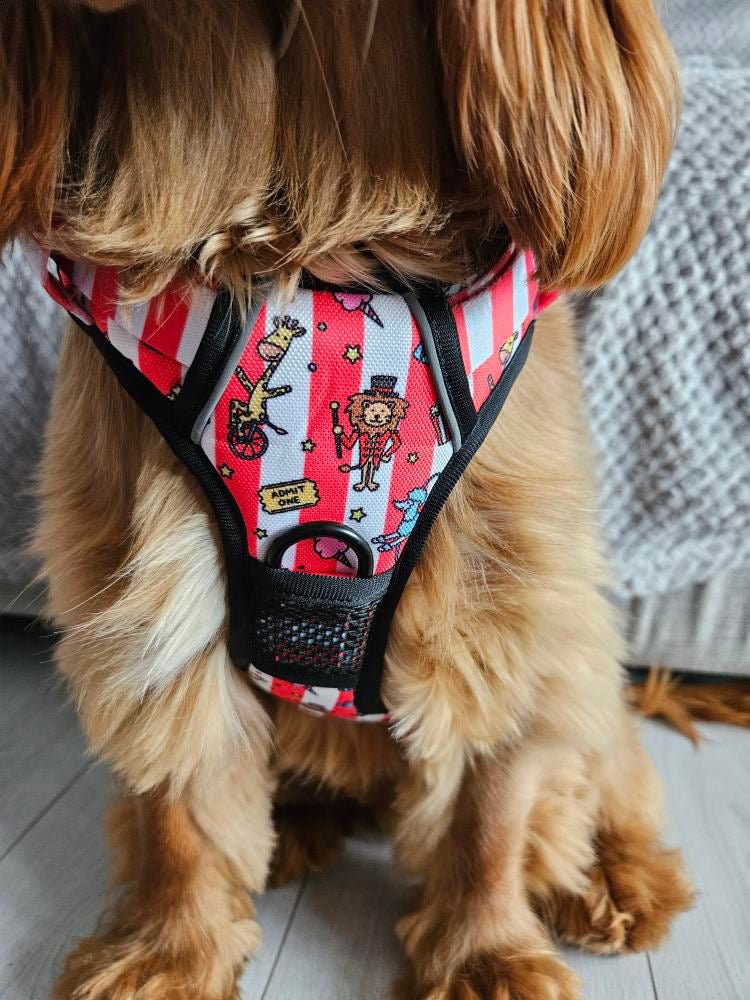 Circus Chic No Pull Tactical Dog Harness – Adjustable; Strong for Big Dogs (L & XL) 🎪🐾 I - Pup Chic Boutique