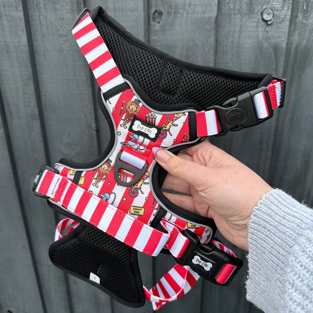 Circus Chic No Pull Tactical Dog Harness – Adjustable; Strong for Big Dogs (L & XL) 🎪🐾 I - Pup Chic Boutique