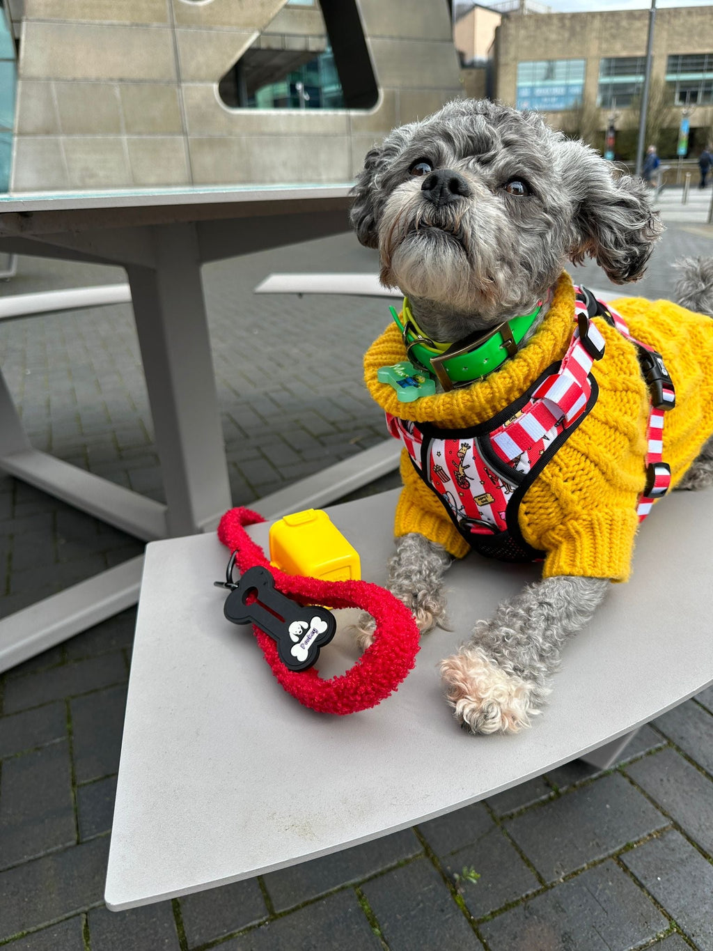 Circus Chic No Pull Tactical Dog Harness – Adjustable; Strong for Big Dogs (L & XL) 🎪🐾 I - Pup Chic Boutique