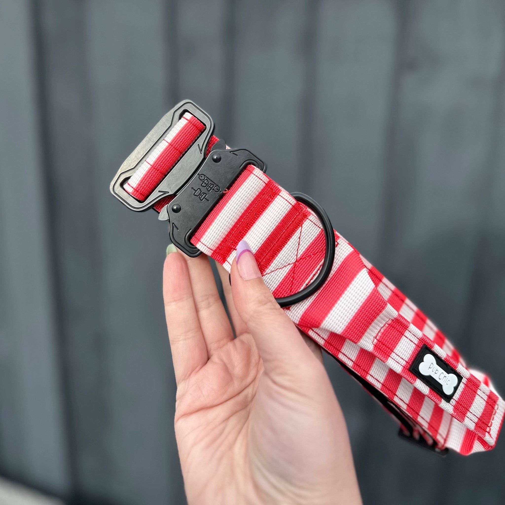 Circus Chic Tactical Dog Collar with Handle - Pup Chic Boutique