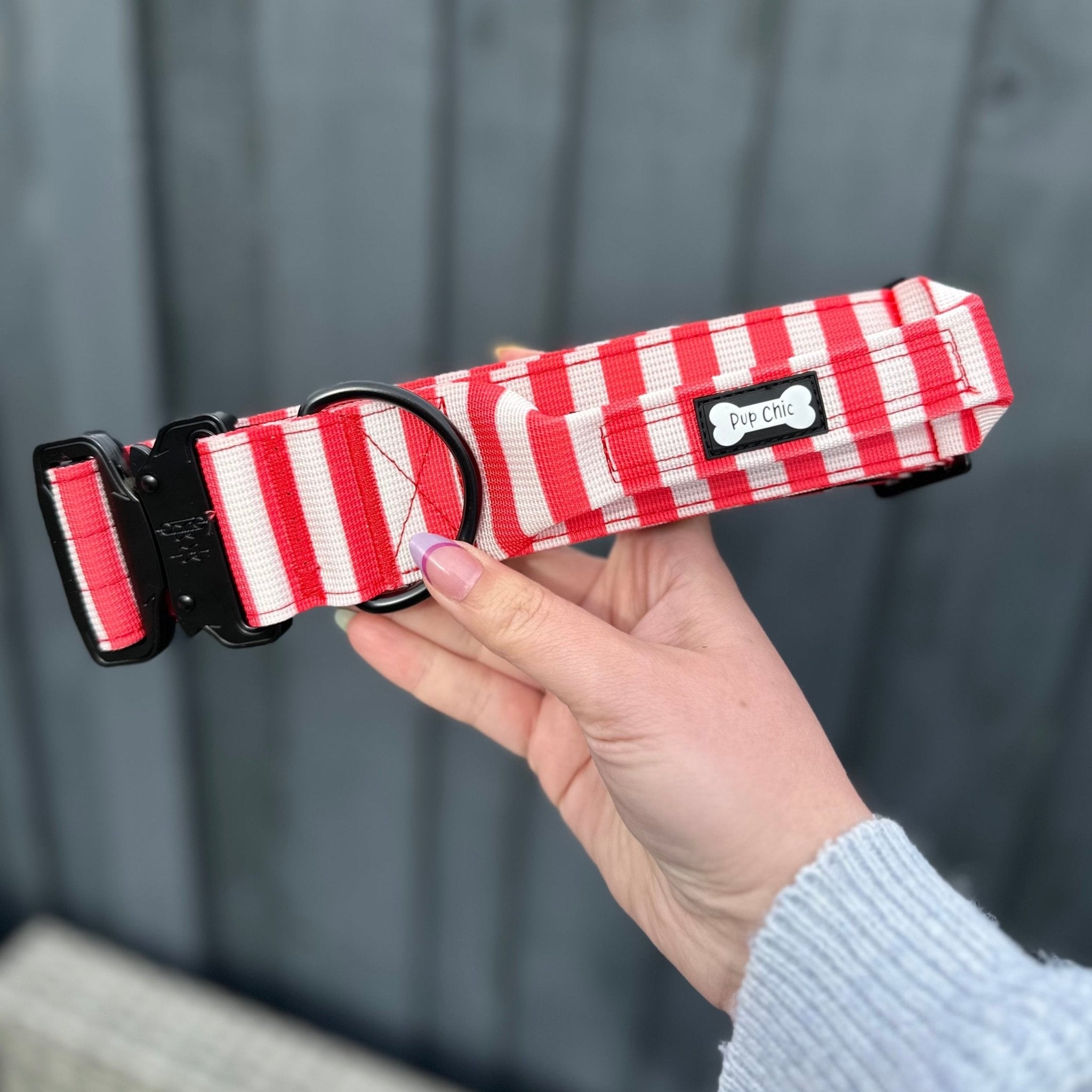 Circus Chic Tactical Dog Collar with Handle - Pup Chic Boutique