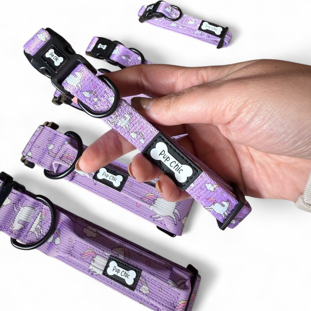 Daydreams and Unicorns Collar - Pup Chic Boutique